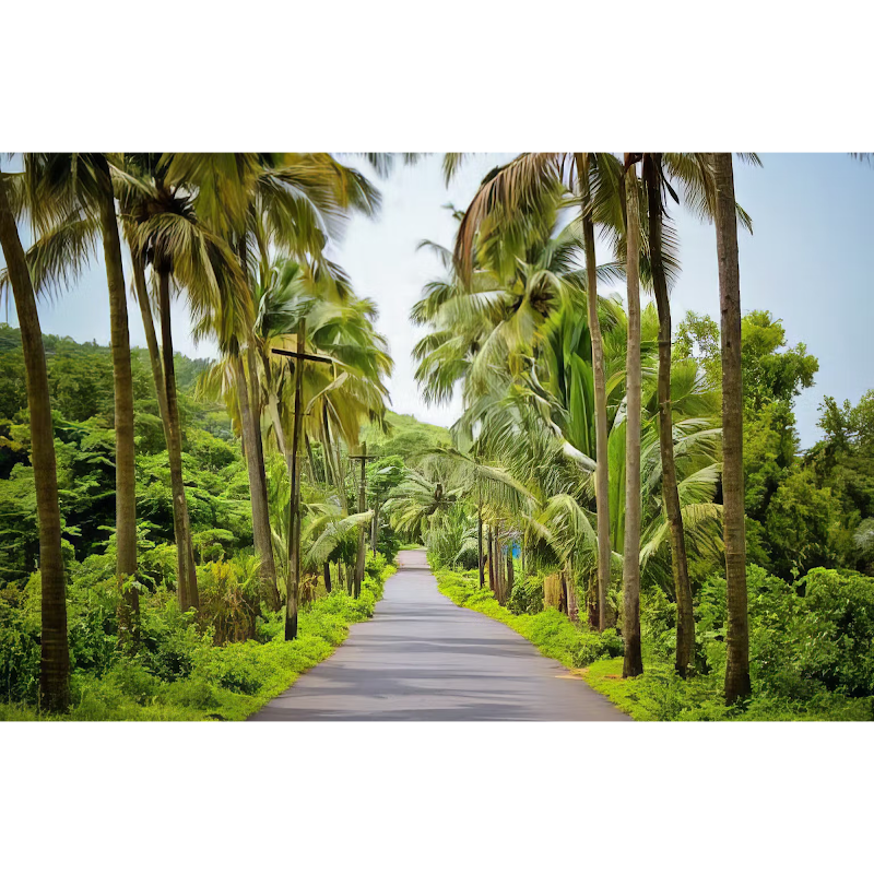 La Maison by Dia Hotels And Homes - La Maison by Dia Hotels And Homes, Chapel, 5/158, near St Sebastian Road, Fontainhas (quarter), Mala, Panaji, Goa 403001, India