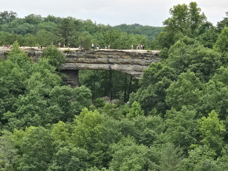 Natural Bridge State Park Resort Suspension Bridge - Natural Bridge State Park Resort Suspension Bridge 2610 Natural Bridge Rd, Slade, KY 40376, USA