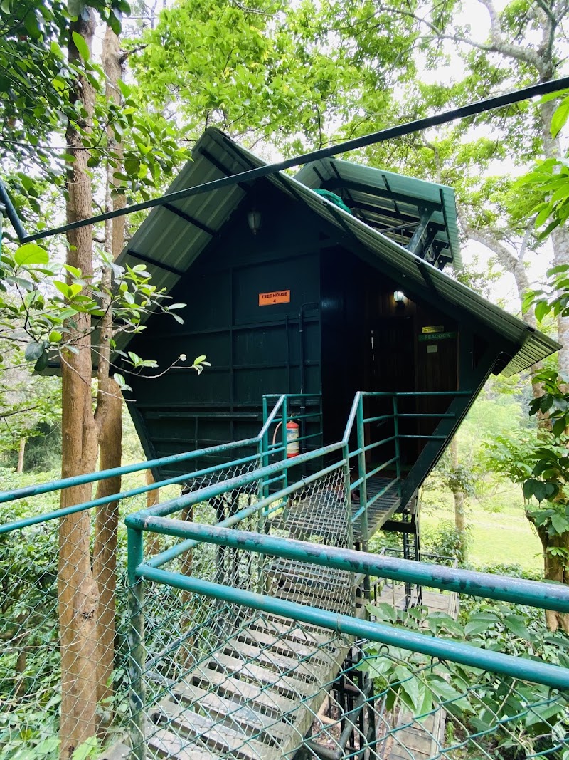 Tree House Wayanad - Tree House Wayanad Tree house Check post Mukkuthikunnu p o, wayanad take left, near noolpuzha, before, Sultan Bathery, Kerala 673595, India