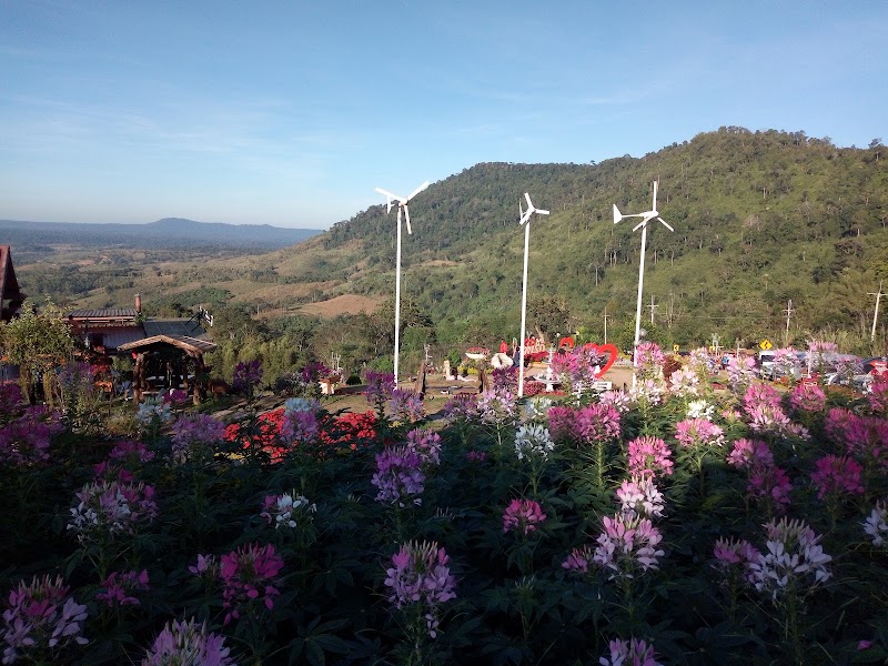 Tanrak Talaymok - Tanrak Talaymok, JXXW+WF4, Khao Kho, Khao Kho District, Phetchabun 67270, Thailand