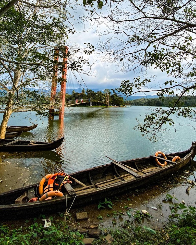 Ayyapancovil Hanging Bridge - Ayyapancovil Hanging Bridge P28M+M8C, Mattukatta, Ayyappancoil, Kerala 685511, India