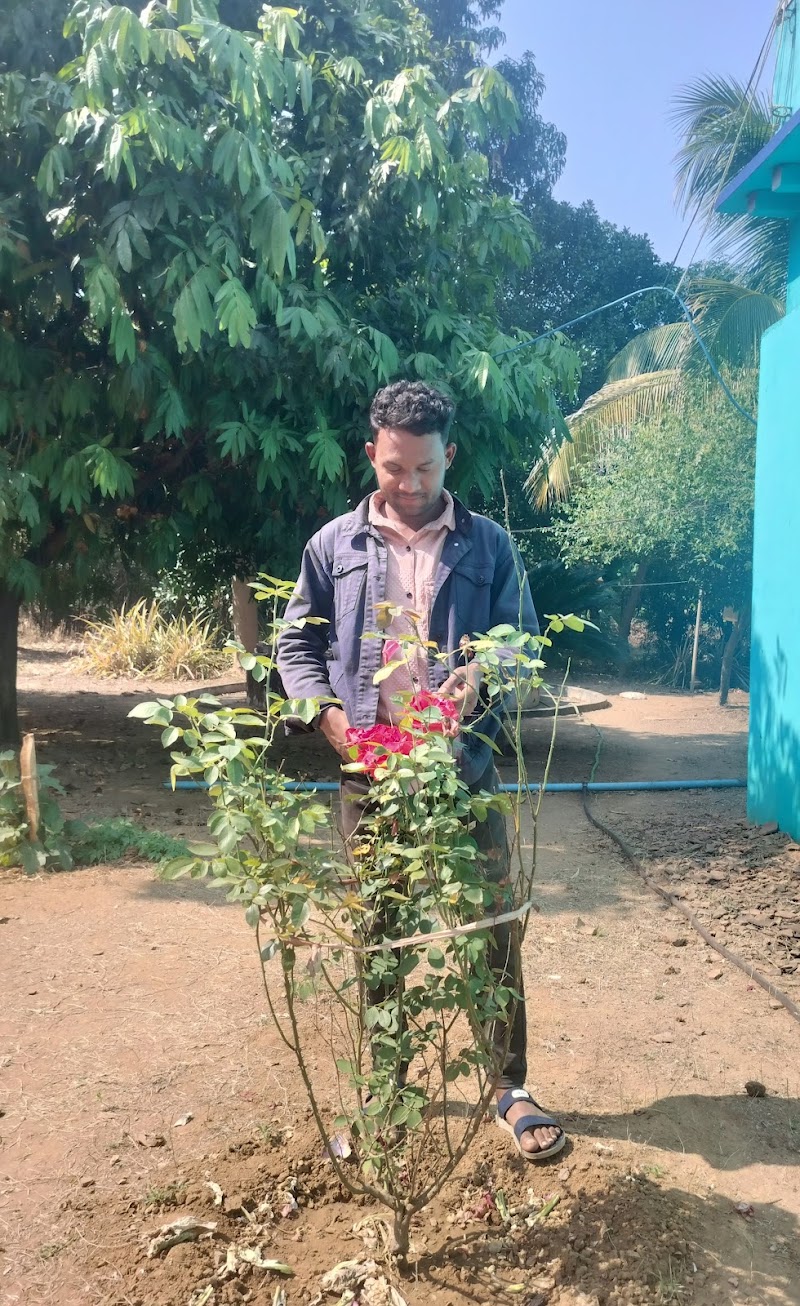 Pinku ku dash (Home) - Pinku ku dash (Home), P2MX+QX2, Nehenabandh, Odisha 767027, India