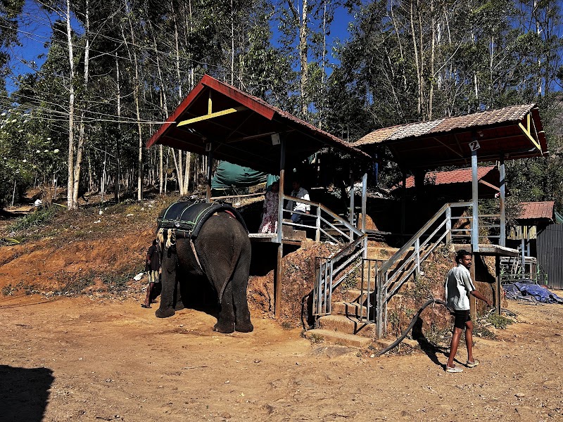 Carmelagiri Elephant Park - Carmelagiri Elephant Park Mattuppetty Road, Munnar, Kannan Devan Hills, Kerala 685616, India