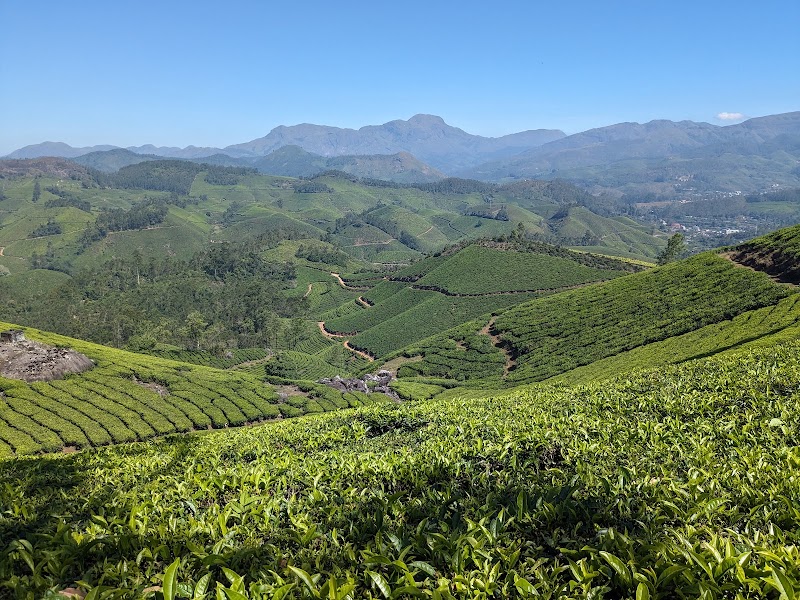 Munnar Tea Trail Tour - Munnar Tea Trail Tour Lockhart Tea Factory Rd, Devikulam, Kerala 685613, India