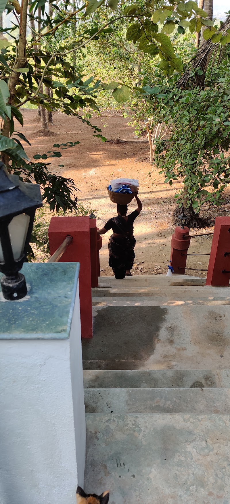Paulo Cho Vado - Paulo Cho Vado, House.No, 41/12, opp. Datta Mandir, Chikhli Village, Colvale, Chikhli, Goa 403507, India