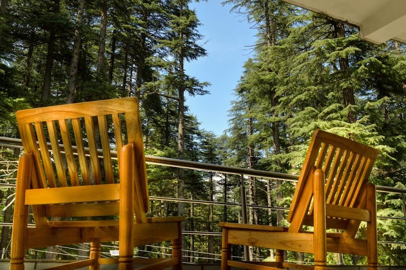 Forest View Retreat - Forest View Retreat Dhungri Village, Manali, Himachal Pradesh 175131, India