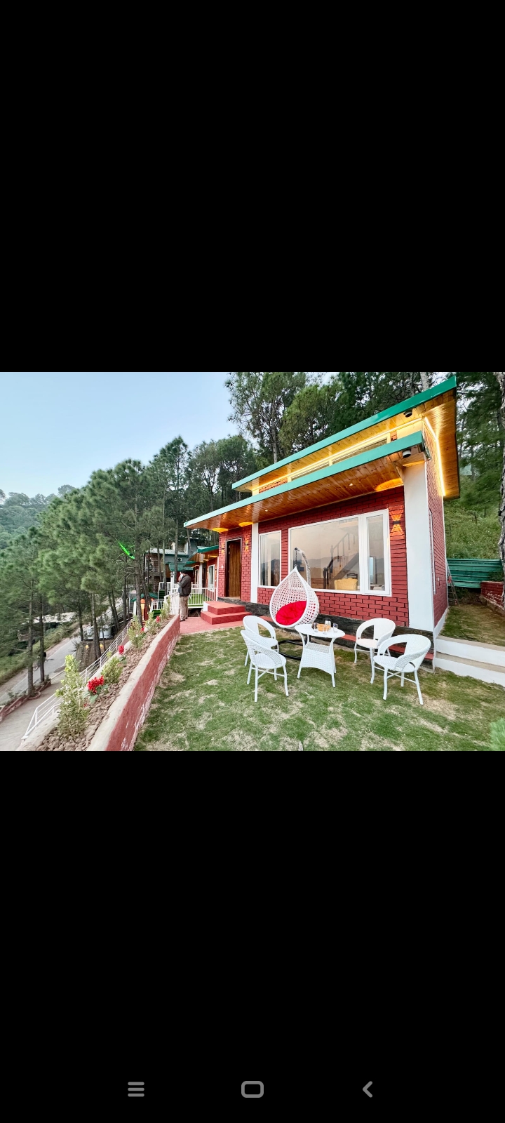 Kasauli Pine Hills