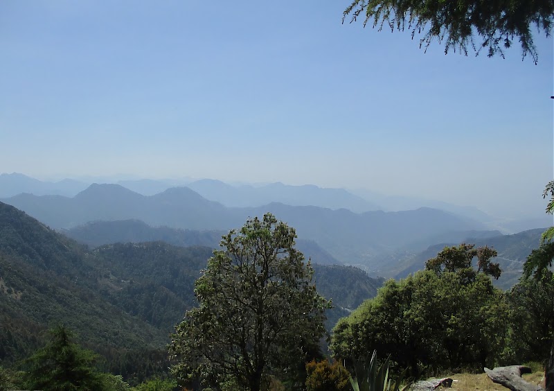 Jabarkhet Nature Reserve, Mussorie - Jabarkhet Nature Reserve, Mussorie Nature Reserve, Jabarkhet, Landour, Mussoorie, Uttarakhand 248179, India