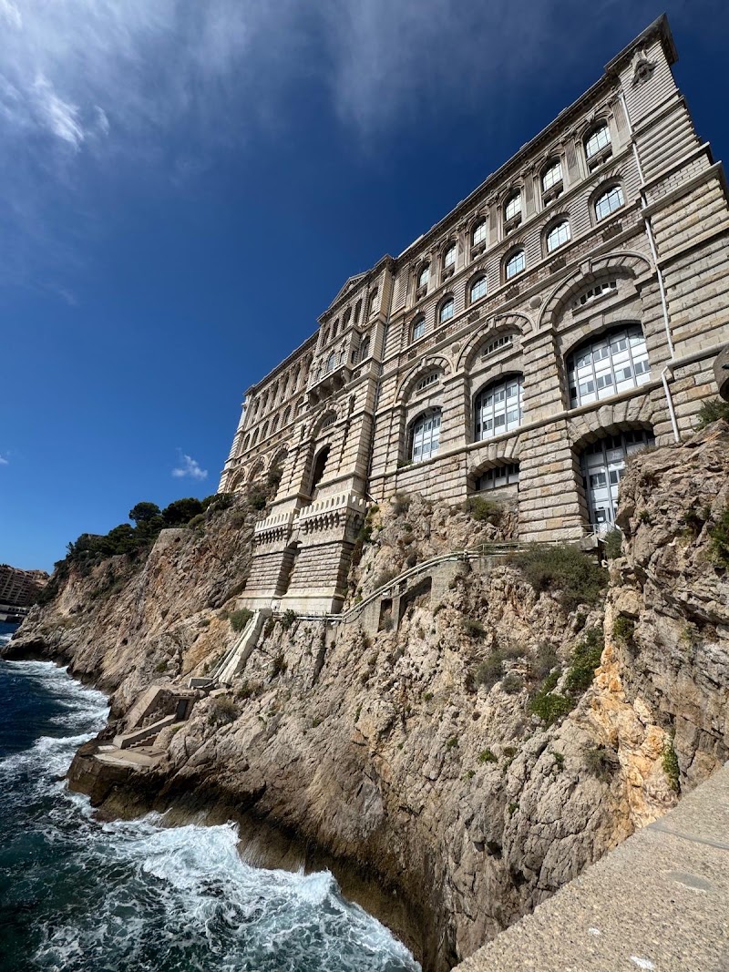 French Riviera Sightseeing - French Riviera Sightseeing 6 Av. des Pins, 06200 Nice, France