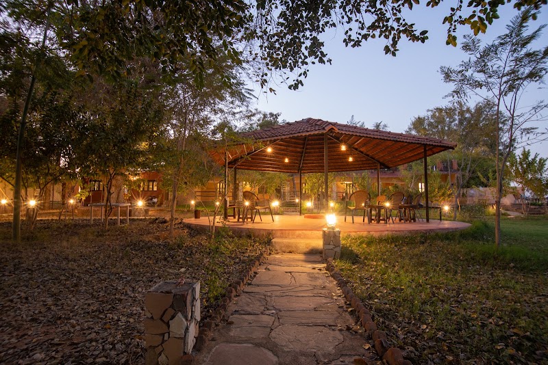 Greetoe Camp Panna - Greetoe Camp Panna, Ken river edge (kachar), raneh fall Rd, Near Panna Tiger Reserve Village Badata, Khajuraho, Basata, Madhya Pradesh 471101, India