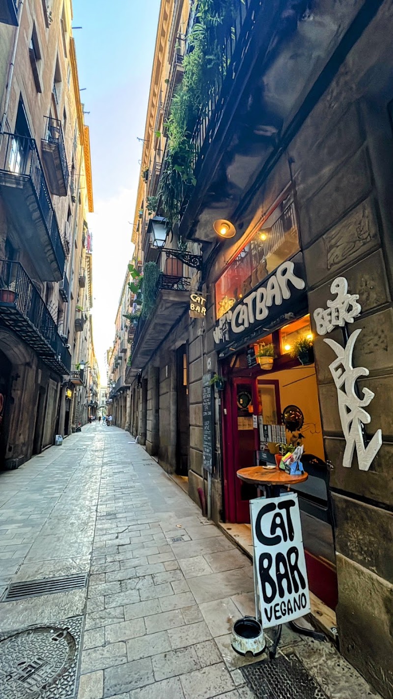 Vegan Cat Bar - Vegan Cat Bar Carrer de la Mercè, 29, Ciutat Vella, 08002 Barcelona, Spain