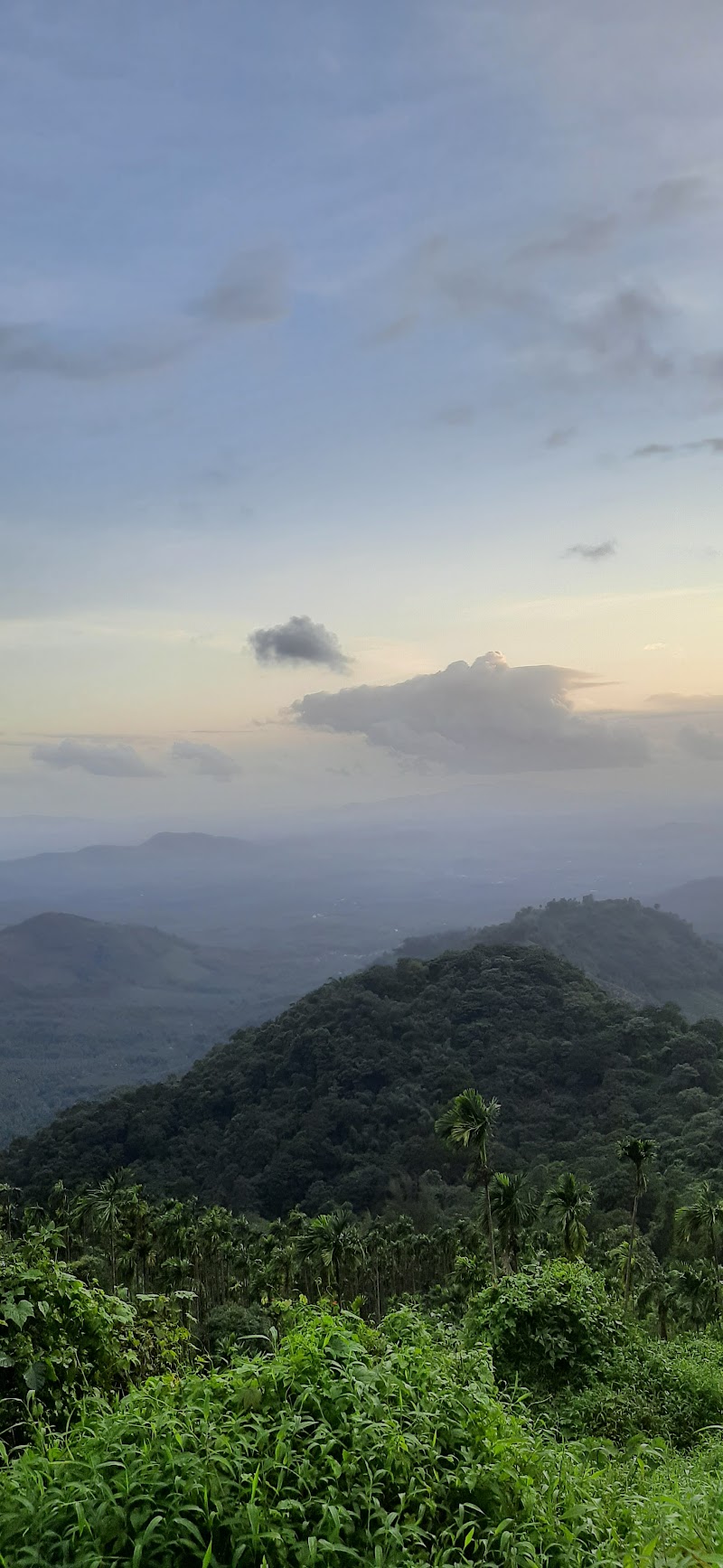 Murugan Hill - Murugan Hill Kurisumala-Thankalpara-Road, Idukki District, MVFX+C7C, Vagamon, Keralam 685503, India