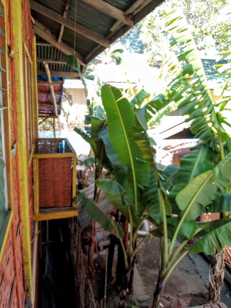 Elnor’s Homestay - Elnor’s Homestay, Near Apo Island High School, 37G9+CPG, Apo Island, Dauin, Lalawigan ng Negros Oriental, Philippines
