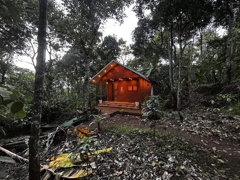 Mountainmist Wooden Cottages - Mountainmist Wooden Cottages, R66Q+FJ7, Ramakkalmedu, Kerala 685552, India