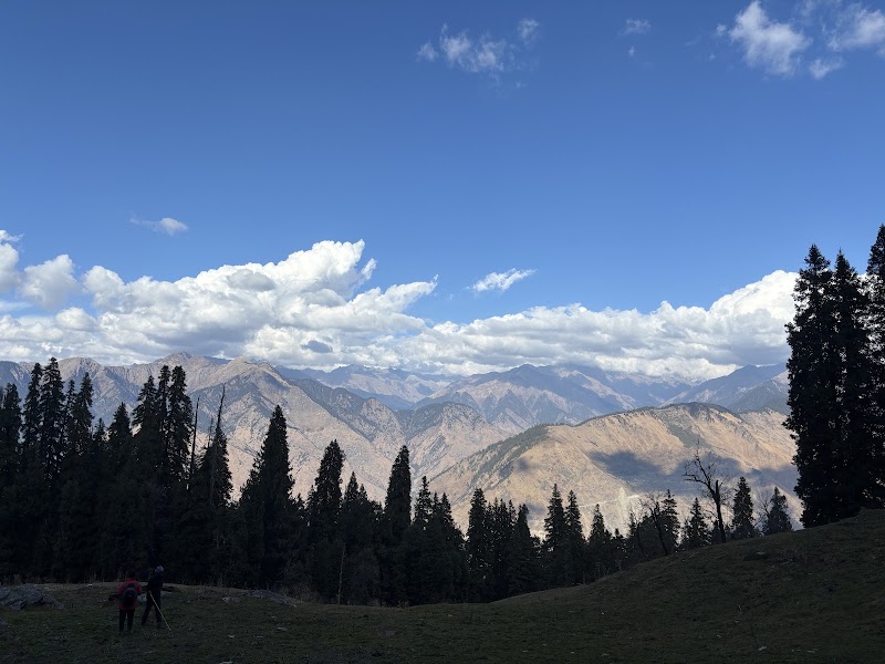 Himalaya Shelter guest house - himalaya shelter guest house, Sankri, Uttarakhand 249128, India