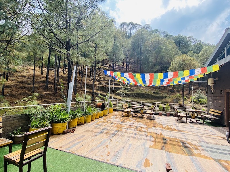 The Hill crest Kasauli - The Hill crest Kasauli The hill crest valley view apartments, Kasauli hills, Dharampur, Himachal Pradesh 173201, India