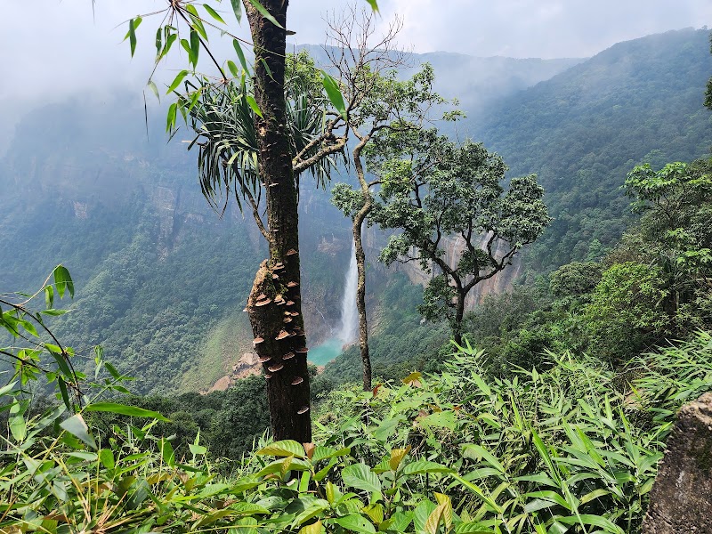 NohKaLikai Falls - NohKaLikai Falls NohKaLikai Falls, Meghalaya 793108, India