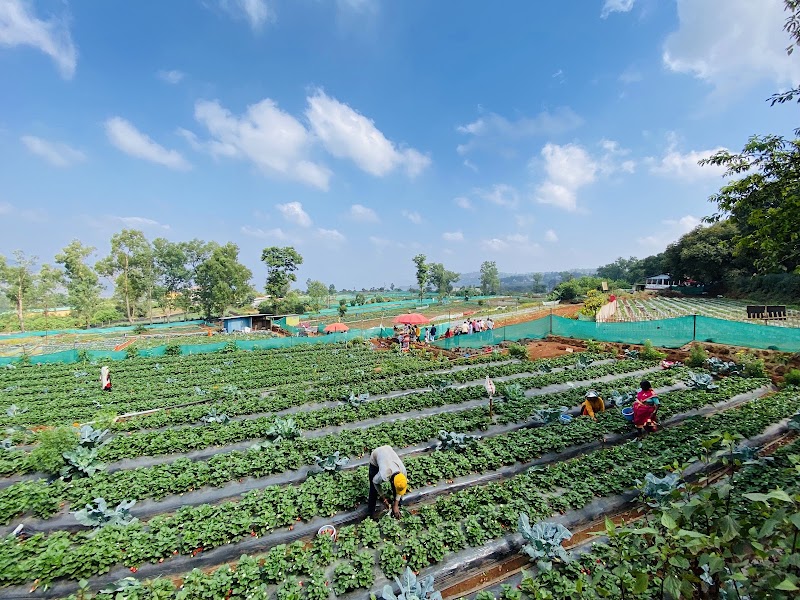 Mapro Garden - Mapro Garden 15/1B, Gureghar, Panchgani - Mahabaleshwar Rd, Mahabaleshwar, Gureghar, Maharashtra 412806, India
