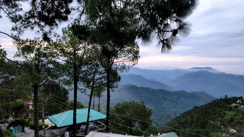 New Roos cmmons - New Roos cmmons Kasauli, Himachal Pradesh 173204, India