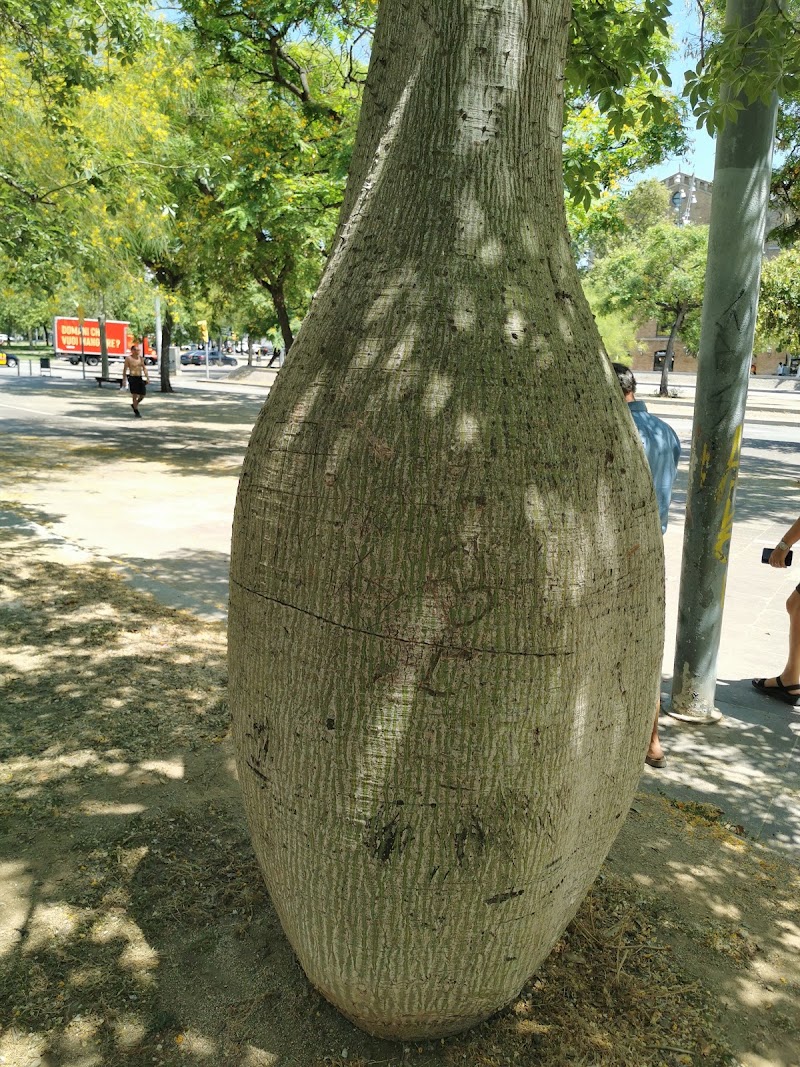 Barcelona Old Town and Gothic Quarter Walking Tour - Barcelona Old Town and Gothic Quarter Walking Tour, Ciutat Vella, Pl. de Correus, S/N, Ciutat Vella, 08002 Barcelona, Spain
