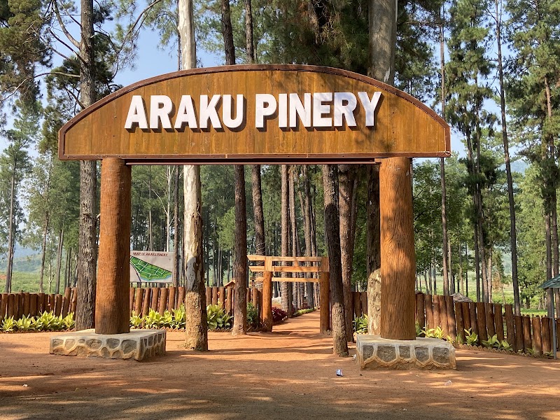 Araku Pinery