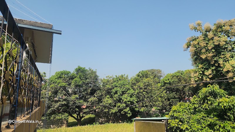 OMG Home Stay - OMG Home Stay Dela Road, Himmatpur Dotiyal, Ramnagar, Uttarakhand 244715, India
