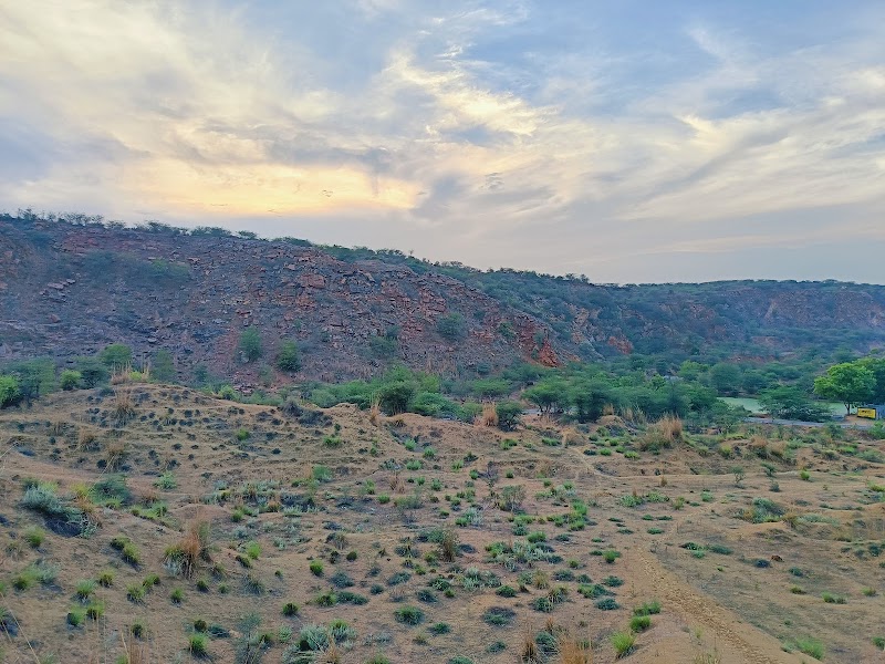 Aravalli Hills - Aravalli Hills 9X6V+GC, Gurugram, Haryana 122101, India