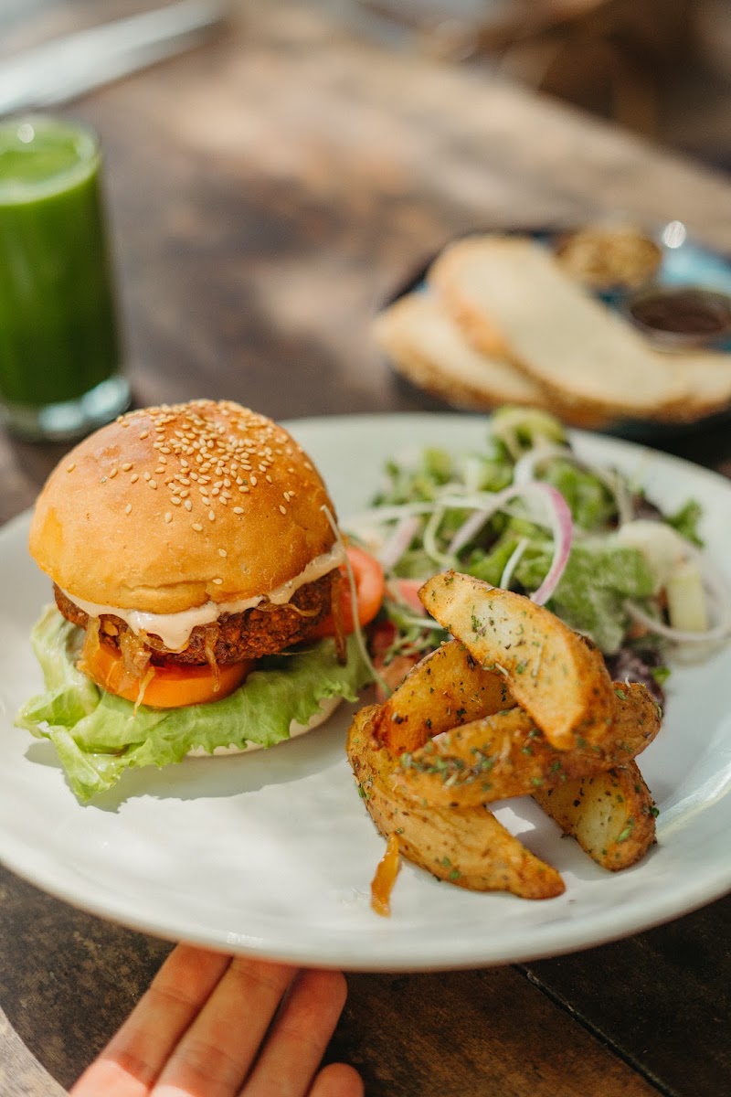 Artjuna Cafe, Mandrem - Artjuna Cafe, Mandrem, Junas Waddo, Mandrem, Goa 403527, India