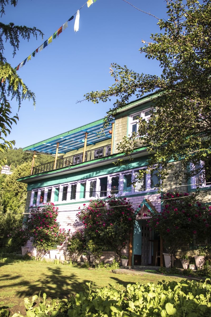 Farmvilla Homestay Kalpa - Farmvilla Homestay Kalpa vpo, tehsil, distt, Kalpa, Saryo, Himachal Pradesh 172108, India
