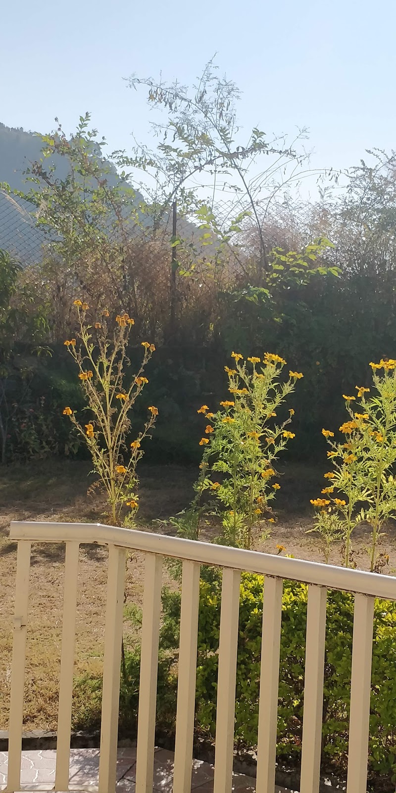Cosy Homes Villa BnB Homestay - Cosy Homes Villa BnB Homestay, Talla, Gethiya, Naina Range, Uttarakhand 263127, India