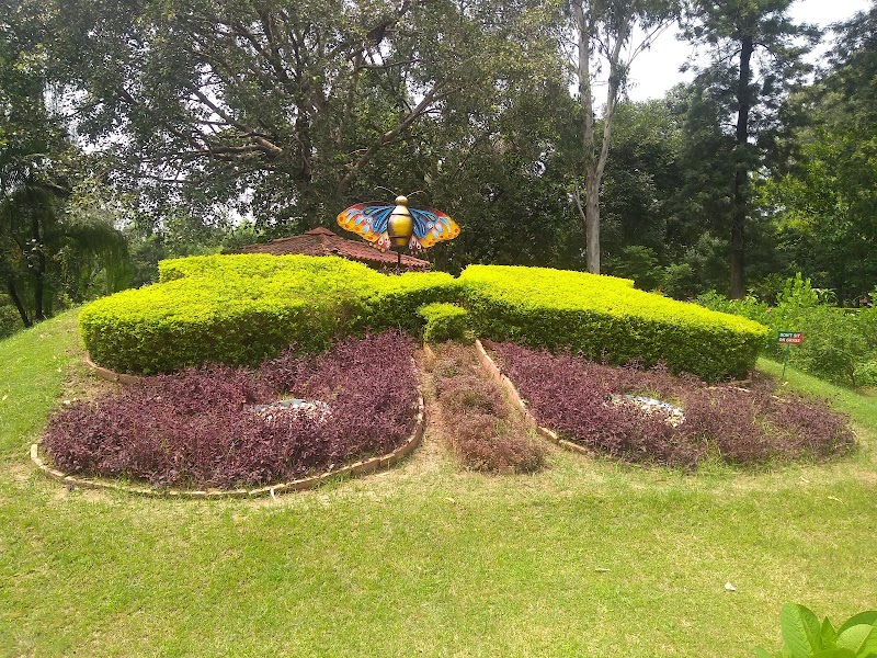 Butterfly Park, 26 Chandigarh - Butterfly Park, 26 Chandigarh Nitttr, Sector 26, Chandigarh, 160019, India