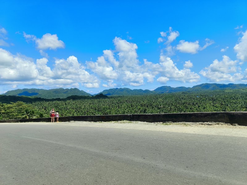 Coconut Road - Coconut Road, R383+RWW, Siargao Circumferential Rd, Pilar, Surigao del Norte, Philippines