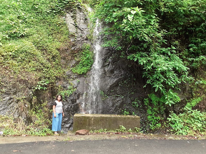 Bison Valley Waterfalls - Bison Valley Waterfalls 333F+3Q8, Bison Vly Rd, Pallivasal, Keralam 685612, India