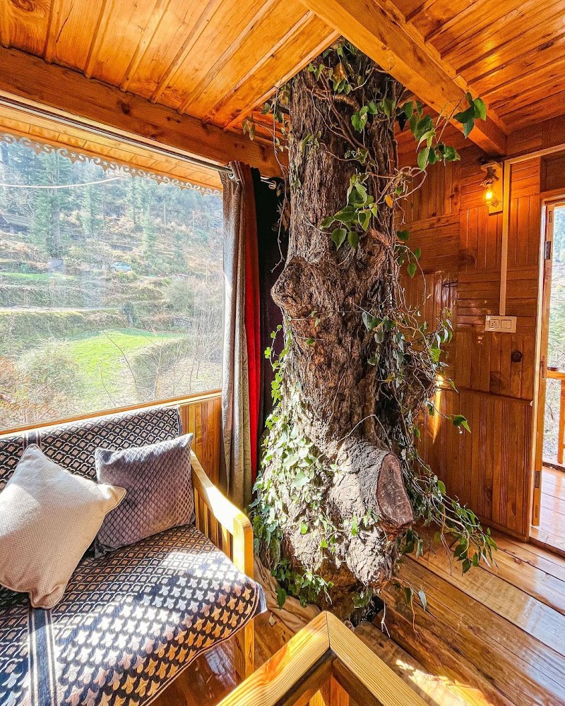 Mejestic Bidagri Treehouse - Mejestic Bidagri Treehouse Village Narhan, Narhan, Jibhi, Bini, Himachal Pradesh 175123, India