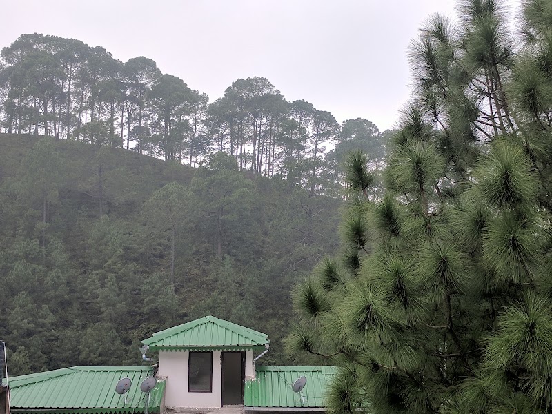 Deepali Astro - Deepali Astro, T2/Tower 1, 404, Pine Oak Paradise, Shyamkhet, Bhowali, Sukha, Uttarakhand 263132, India