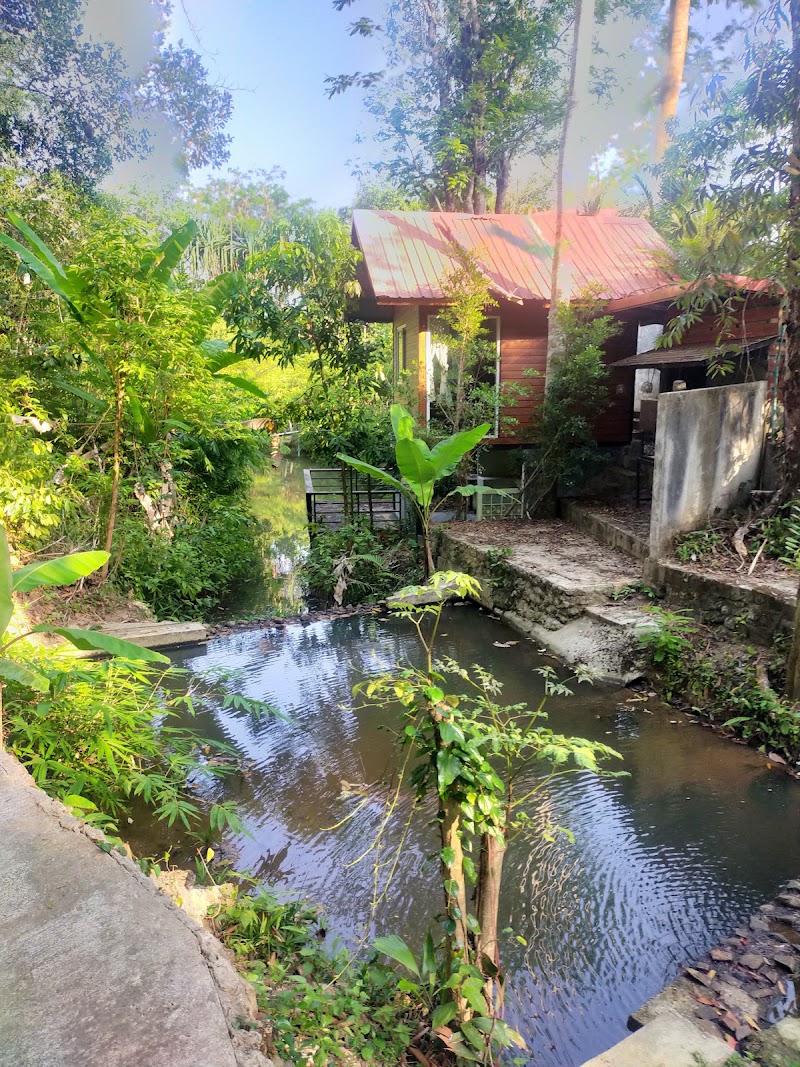 Baan Rai Me Rak Organic Farmstay - Baan Rai Me Rak Organic Farmstay, 67/24 หมู่4 บ้านพารา Tambon Pa Klok, Amphoe Thalang, Chang Wat Phuket 83110, Thailand