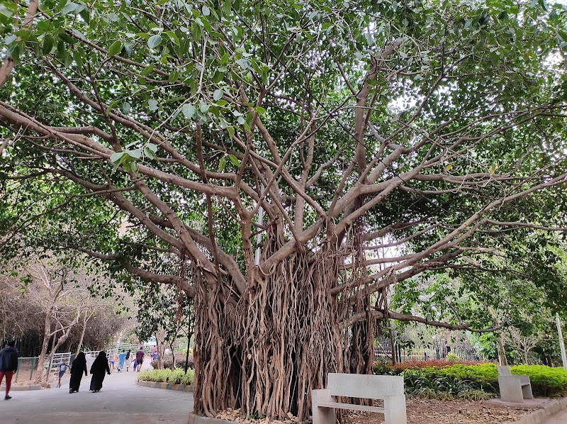 Tavarekere Park - Tavarekere Park, WJH2+FW7, Tank Bund Rd, Bhavani Nagar, S.G. Palya, Bengaluru, Karnataka 560029, India