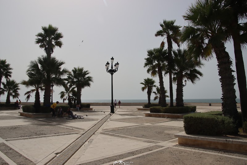 Casco Antiguo Cadiz - Casco Antiguo Cadiz Av. de Huelva, 11007 Cádiz, Spain