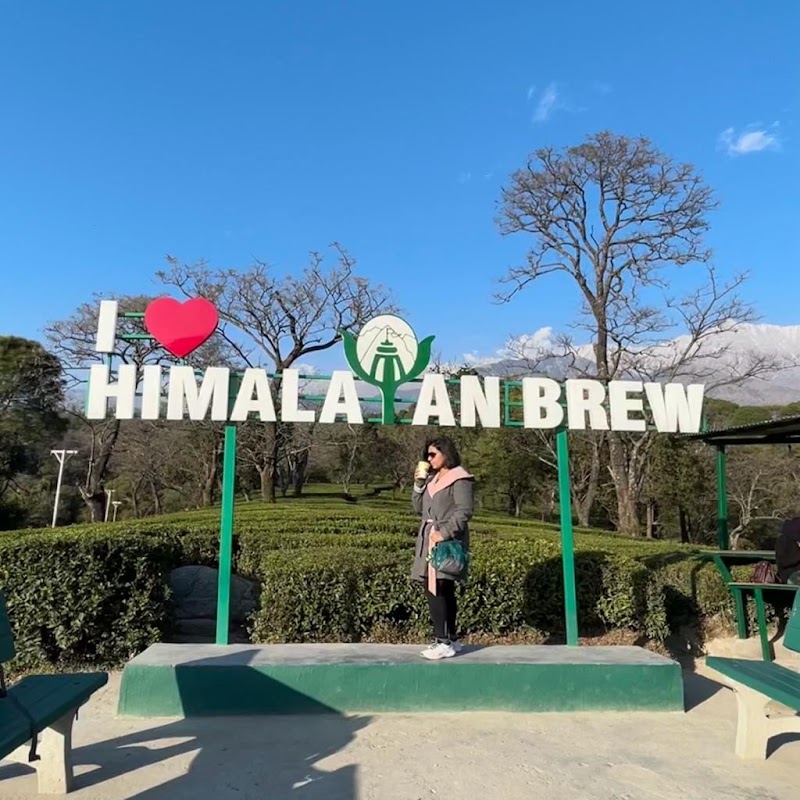 Tea Garden - Tea Garden, 6856+Q3W, Narghota Road, Dharamshala, Himachal Pradesh 176217, India