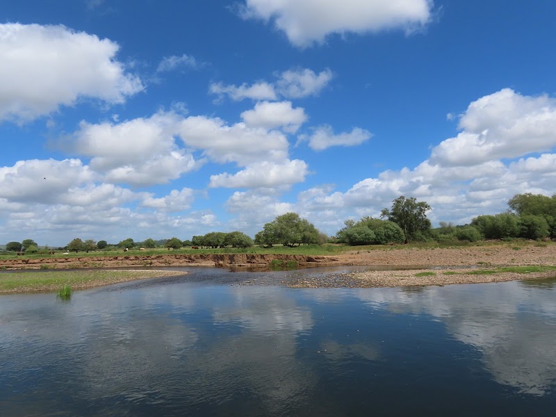 River Exe - River Exe, United Kingdom