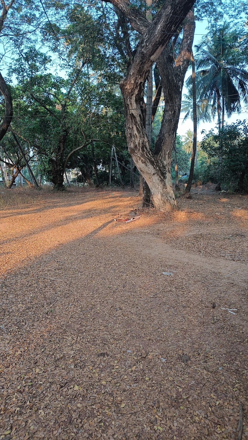 OYO Flagship 88334 Baga Vistas Near Baga Beach - OYO Flagship 88334 Baga Vistas Near Baga Beach, 210, Bardez, Arpora, Goa, 403516, India