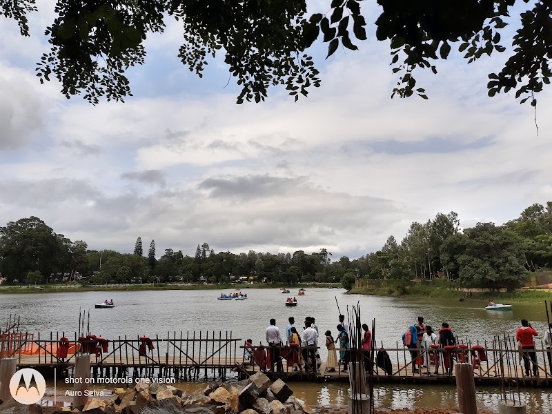 Yercaud Lake & Boat House (Emerald Lake) - Yercaud Lake & Boat House (Emerald Lake) Lake Road, Yercaud, Tamil Nadu 636602, India