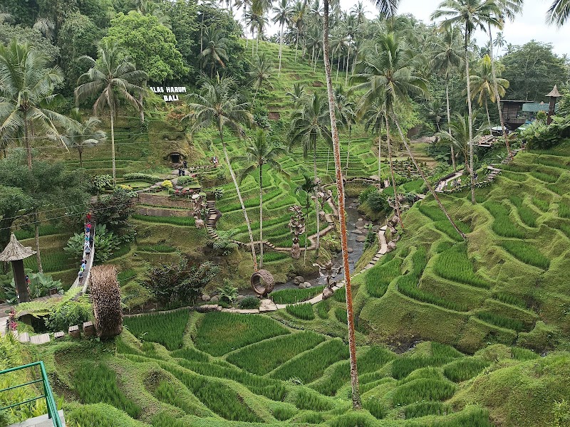 Alas Harum Bali - Alas Harum Bali, Jl. Raya Tegallalang, Tegallalang, Kec. Tegallalang, Kabupaten Gianyar, Bali 80561, Indonesia