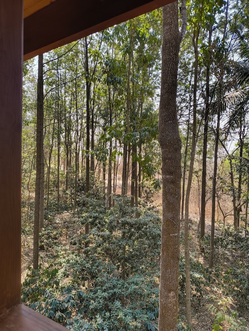 Citrus Trail Farm and Kitchen Parking - Citrus Trail Farm and Kitchen Parking PHF9+JXV, Hongemara, Shivanahalli, Karnataka 560083, India