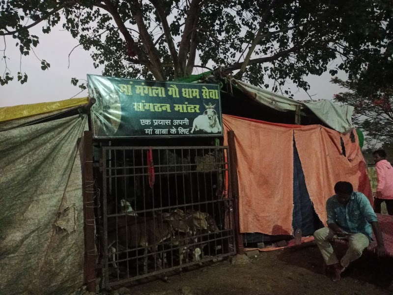 Maa mangala Gau sewa dham - Maa mangala Gau sewa dham, 8MXX+9C8, Mandhar, Chhattisgarh 493111, India