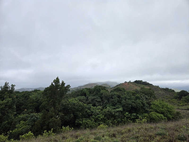 Mandalpatti Peak - Mandalpatti Peak GPCC+87R, Kalur, Karnataka 571202, India