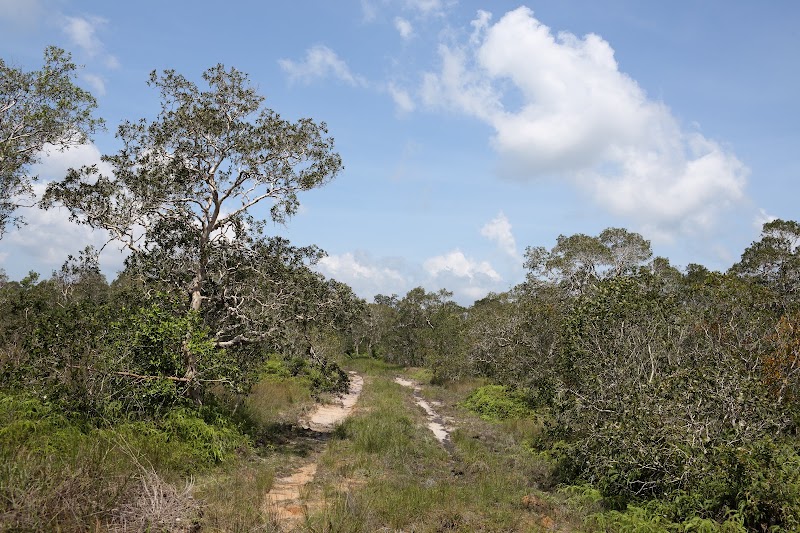Phu Quoc National Park - Phu Quoc National Park, 82JJ+M57, Phu Quoc, An Giang, Vietnam