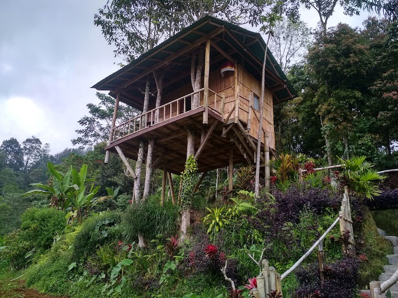 Bali Tree House Pelangi - Bali Tree House Pelangi M5RC+CP4, Baturiti, Tabanan Regency, Bali 82161, Indonesia