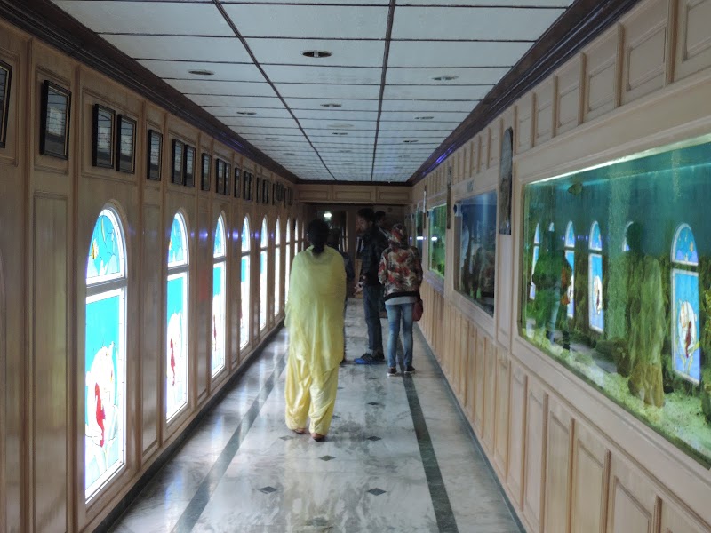 Jawahar Aquarium - Jawahar Aquarium, F35F+9FW, Mall Rd, The Mall Road, Mussoorie, Uttarakhand 248179, India