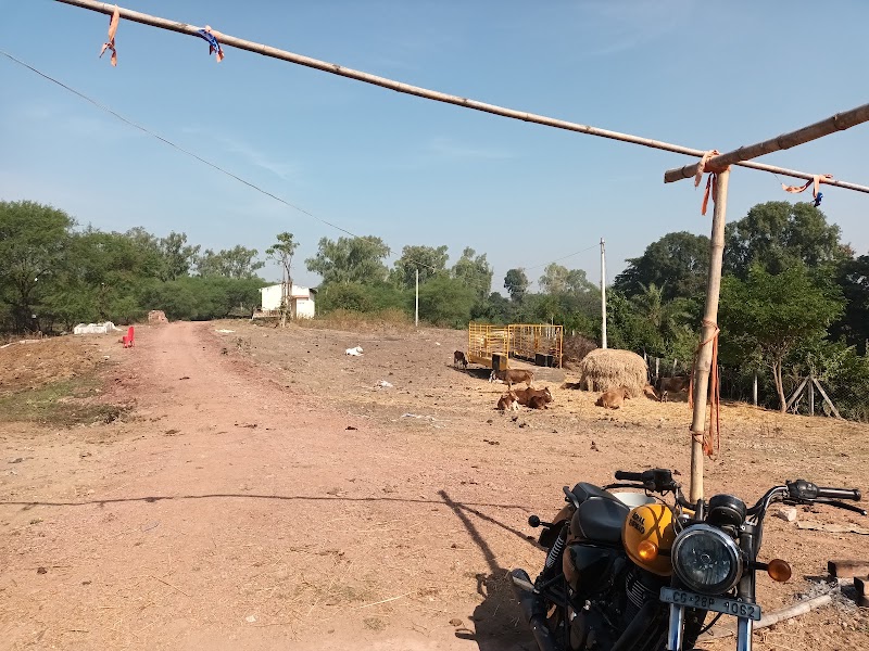 Gau seva dham mungeli - Gau seva dham mungeli, 3M2V+J79, Gaushala, Ramgarh, Chhattisgarh 495334, India